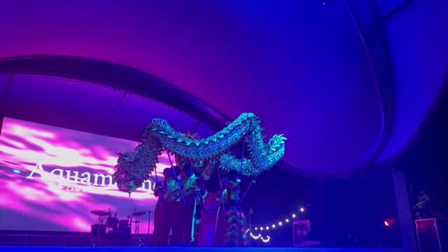 Video múa rồng của Sun & Sea Events